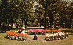 Vintage Postcard Tulip Time Displays Of Tulips & Colorful Costumes Holland MI