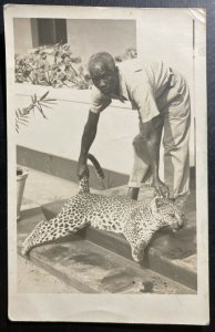 Mint Belgian Congo Real Picture Postcard RPPC Leopard