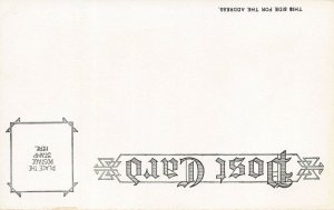 LP13   Comic  Niagara Falls New York Postcard Knitting 