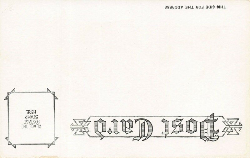 LP13   Comic  Niagara Falls New York Postcard Knitting 