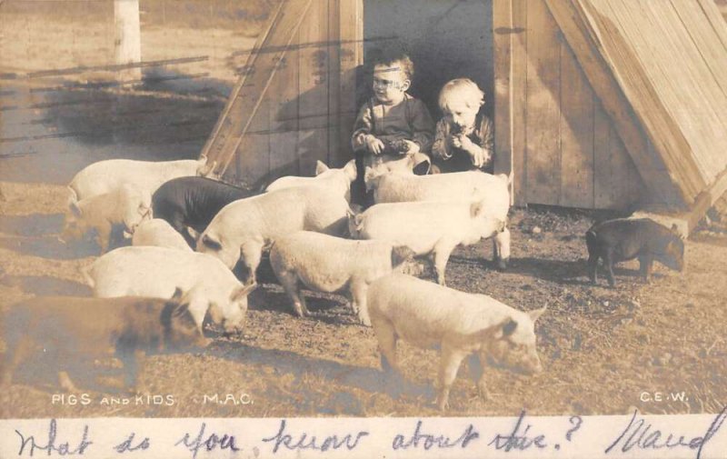 Farm Scene Kids and Pigs Children Real Photo Vintage Postcard AA56282