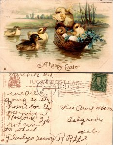 Easter (18646