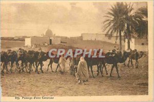 Old Postcard Passage of a North African caravan