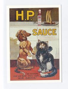 ad348 - advert for  HP sauce - cat & dog - art postcard