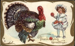 Thanksgiving Little Girl Gives Apples to Turkey Stecher Ser 113A c1910 Postcard