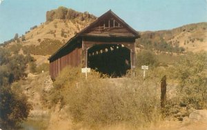 Owen County Indiana Cataract Covered Bridge Chrome Postcard Unused