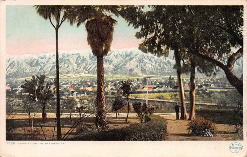 Snow and Palms, Pasadena, California, Postcard, Used in 1909 from Pomona, CA