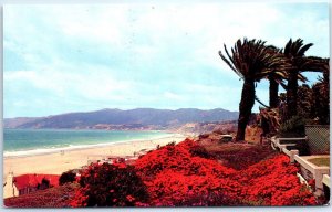 M-56677 Flower-Covered Palisades Beach Pacific Ocean Santa Monica CA