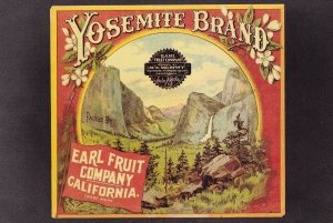 Earl Fruit Company California Yosemite Advertising Postcard