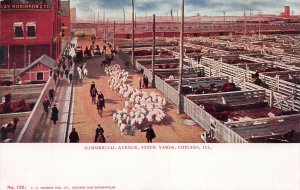 Commercial Ave., Stock Yards, Chicago, Illinois, Early Postcard, Unused