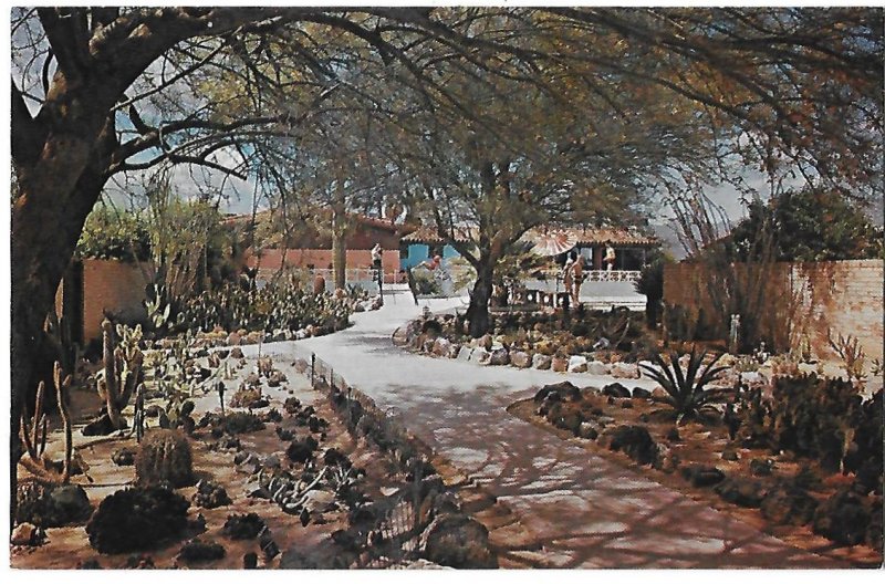 Ghost Ranch Lodge Cactus Garden Miracle Mile Tucson Arizona