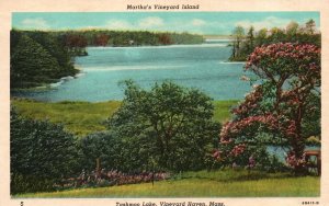 Vintage Postcard 1953 Martha's Vineyard Island Tashmoo Lake Vineyard Haven Mass
