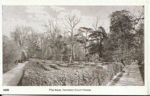 Middlesex Postcard - The Maze - Hampton Court Palace - Ref 9106A