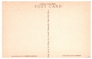 The Dunes on Cape Cod Massachusetts Postcard