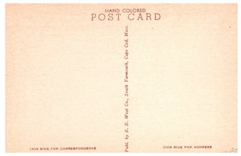 The Dunes on Cape Cod Massachusetts Postcard