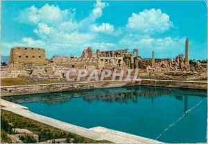 Modern Postcard The Sacred Lake and Karnak temple Amon