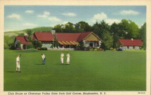 PC GOLF, NY, BINGHAMTON, CHENANGO VALLEY STAT PARK, Vintage Postcard (b45823)