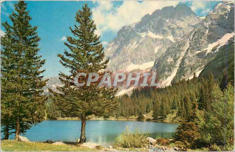 Old Postcard The Alps in natural colors Lac High mountain trout