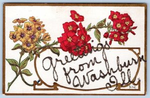 1910's GREETINGS FROM WASHBURN ILLINOIS FLOWERS MICA GLITTER POSTCARD