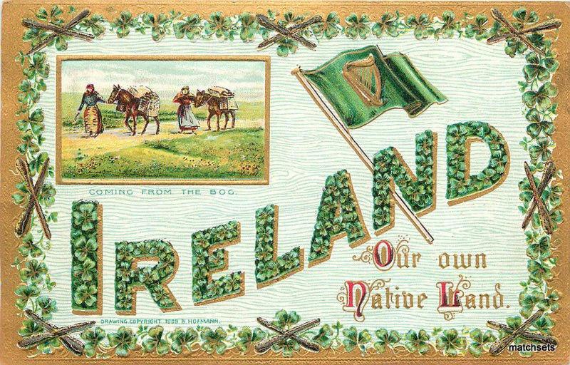 C-1910 Coming from the Bog IRELAND Postcard 368
