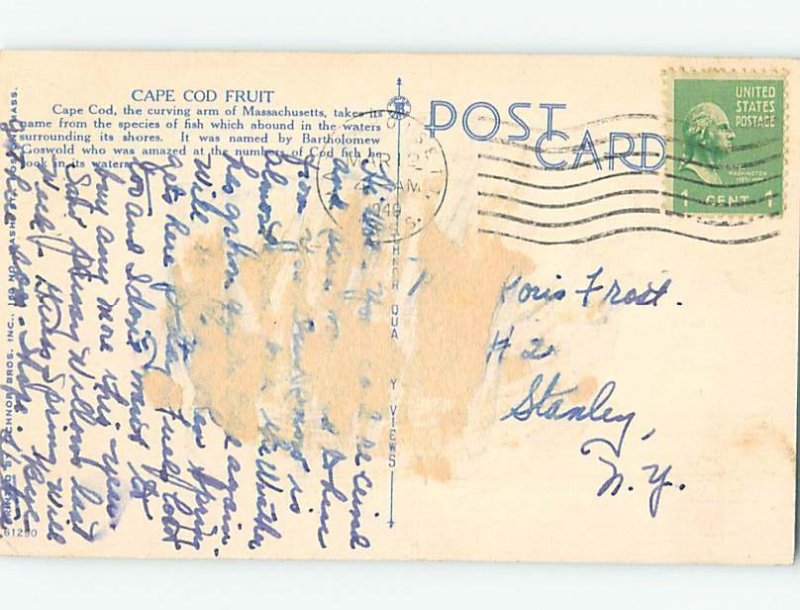 Pre-Chrome ANIMAL SCENE Cape Cod Massachusetts MA AH5933