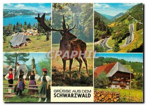 Postcard Modern Grusse Aus Dem Schwarzwald