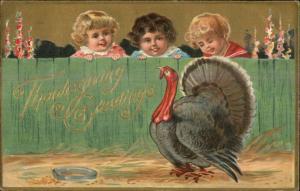 Thanksgiving - Kids Watch Turkey Over Fence c1910 Embossed Postcard