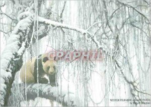 Modern Postcard Winter Filigree Giant Panda Robert Batcman