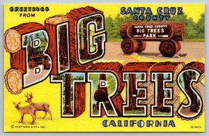 Vintage California Postcard - Large Letters - Big Trees Park - Santa Cruz