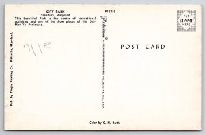 Salisbury Maryland City Park Bridge Pavilion Weeping Willow Tree Postcard E23