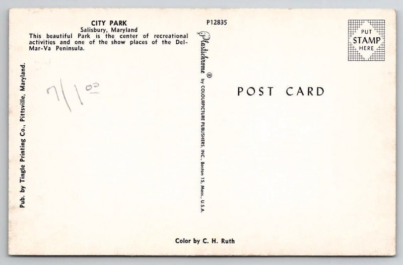 Salisbury Maryland City Park Bridge Pavilion Weeping Willow Tree Postcard E23