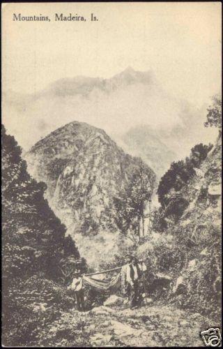 portugal, MADEIRA, Mountains (ca. 1920)