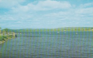 Canada View From Carleton Street Bridge Of St John River Showing Pleasure Boa...