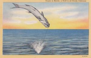 Florida Tarpon Fishing 1946 Curteich