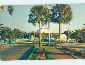 Pre-1980 MILLION-DOLLAR CAUSEWAY Clearwater Beach - Near Tampa Florida FL F0984