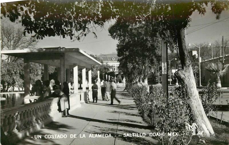 1940s RPPC Postcard; Un Costada de la Alameda, Saltillo Coah. Mexico MF 52.