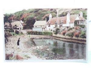 Lady Feeding Ducks at The Duck Pond Lulworth Dorset Vintage Postcard