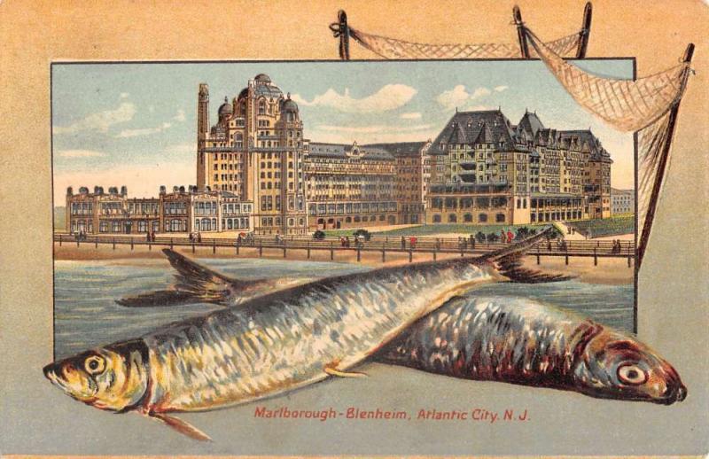 Marlborough Blenheim Atlantic City New Jersey Antique Postcard L1095 