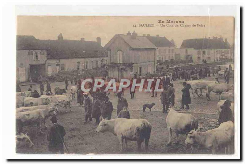 In Morvan Saulieu Old Postcard A corner of the fairground (walking cattle cow...