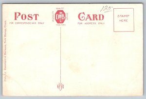 Northampton  Massachusetts  Smith Auditorium  Postcard