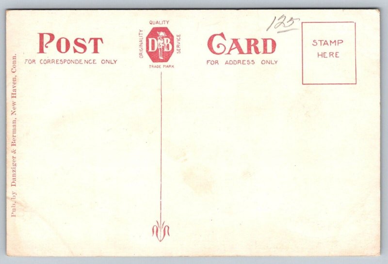 Northampton  Massachusetts  Smith Auditorium  Postcard