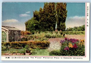 Japan Postcard The Flower Plantation Place to Hokkaido University c1950s