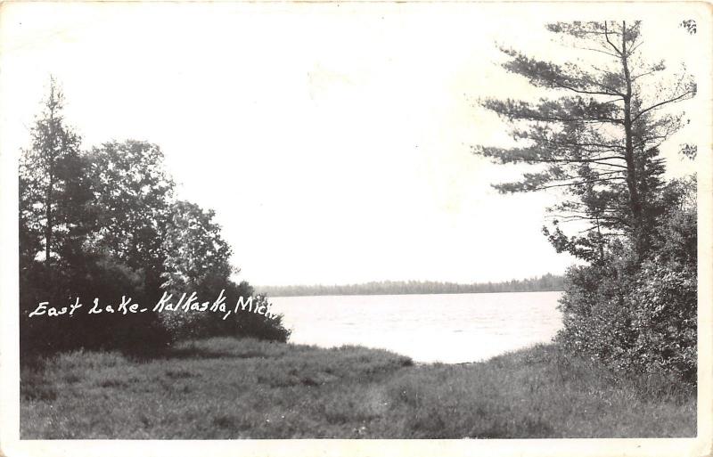 Kalkaska Michgian~East Lake Scene~Vintage C. J. Herbert (Traverse City) RPPC