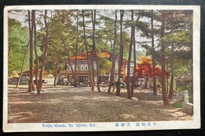 Mint Japan PPC Picture Postcard Tenjin Woods MT Mitake Kai 