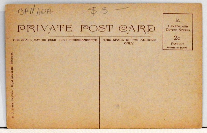 Central Park, Winnipeg - Postcard