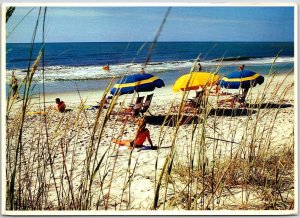 1983 Hilton Head Island South Carolina Summer Day Resort Island Posted Postcard