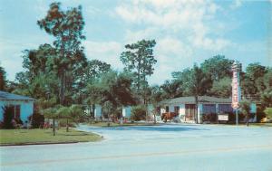 Clearwater FloridaLake Crest CourtGulf to Bay BlvdSummer Trees1960s Postcard