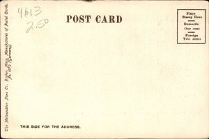 Roslindale Massachusetts MA Library 1900s-20s Vintage Postcard