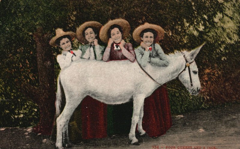 Vintage Postcard 1908 Portrait of Beautiful Women and White Horse Animal Artwork