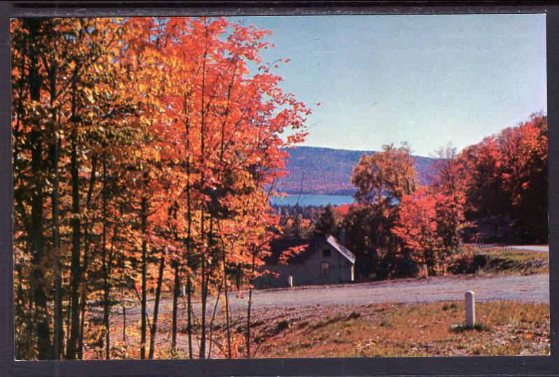 Autumn View,Adirondack Mountains BIN